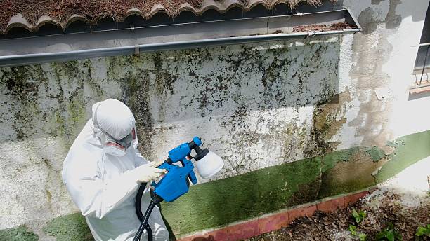 Top rated local Attic Mold Removal specialists in Churchton, MD